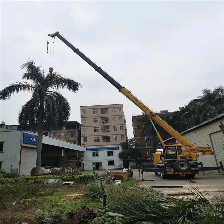 枣庄市中汽车吊出租多少钱？全面解析与市场行情